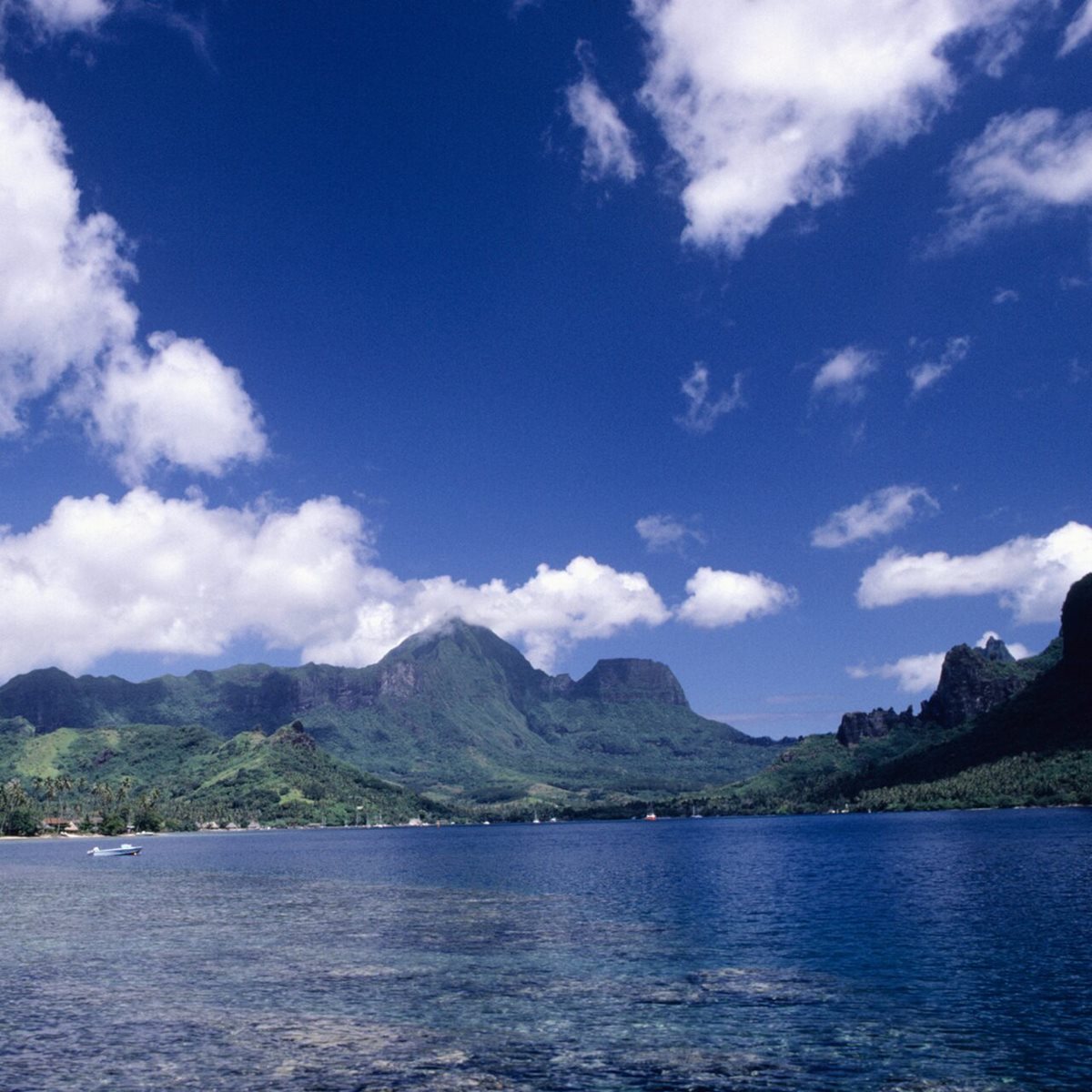 Zatoka Cooka, wyspa Moorea, Polinezja Francuska Zatoka Cooka, wyspa Moorea, Polinezja Francuska