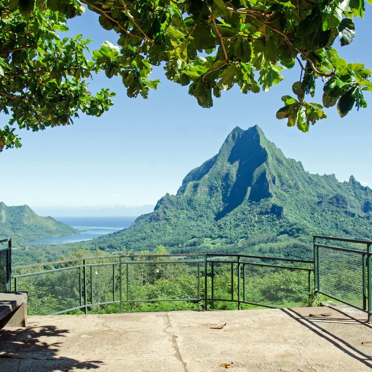 Punkt widokowy Belweder, Wyspa Moorea, Polinezja Francuska Punkt widokowy Belweder, Wyspa Moorea, Polinezja Francuska