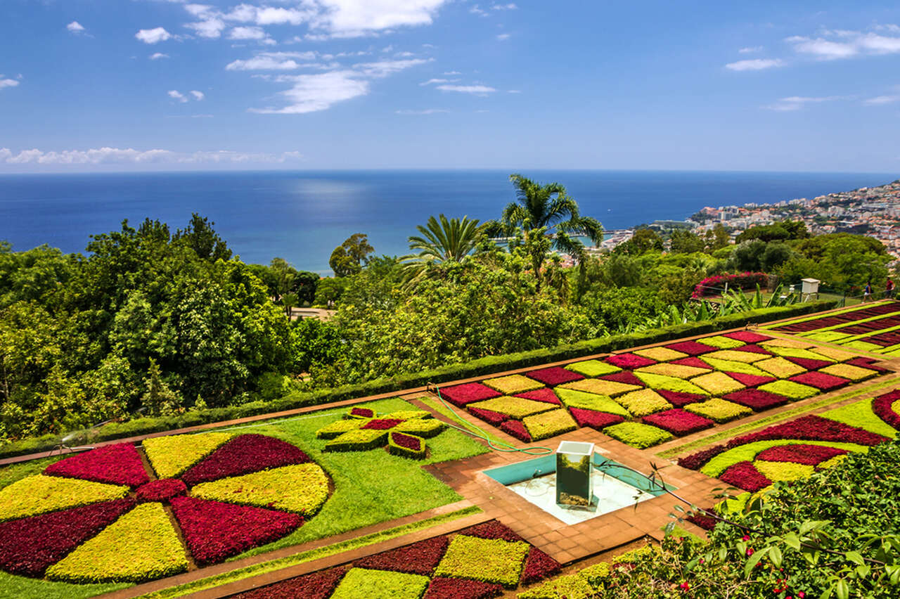 Ogród botaniczny, Funchal