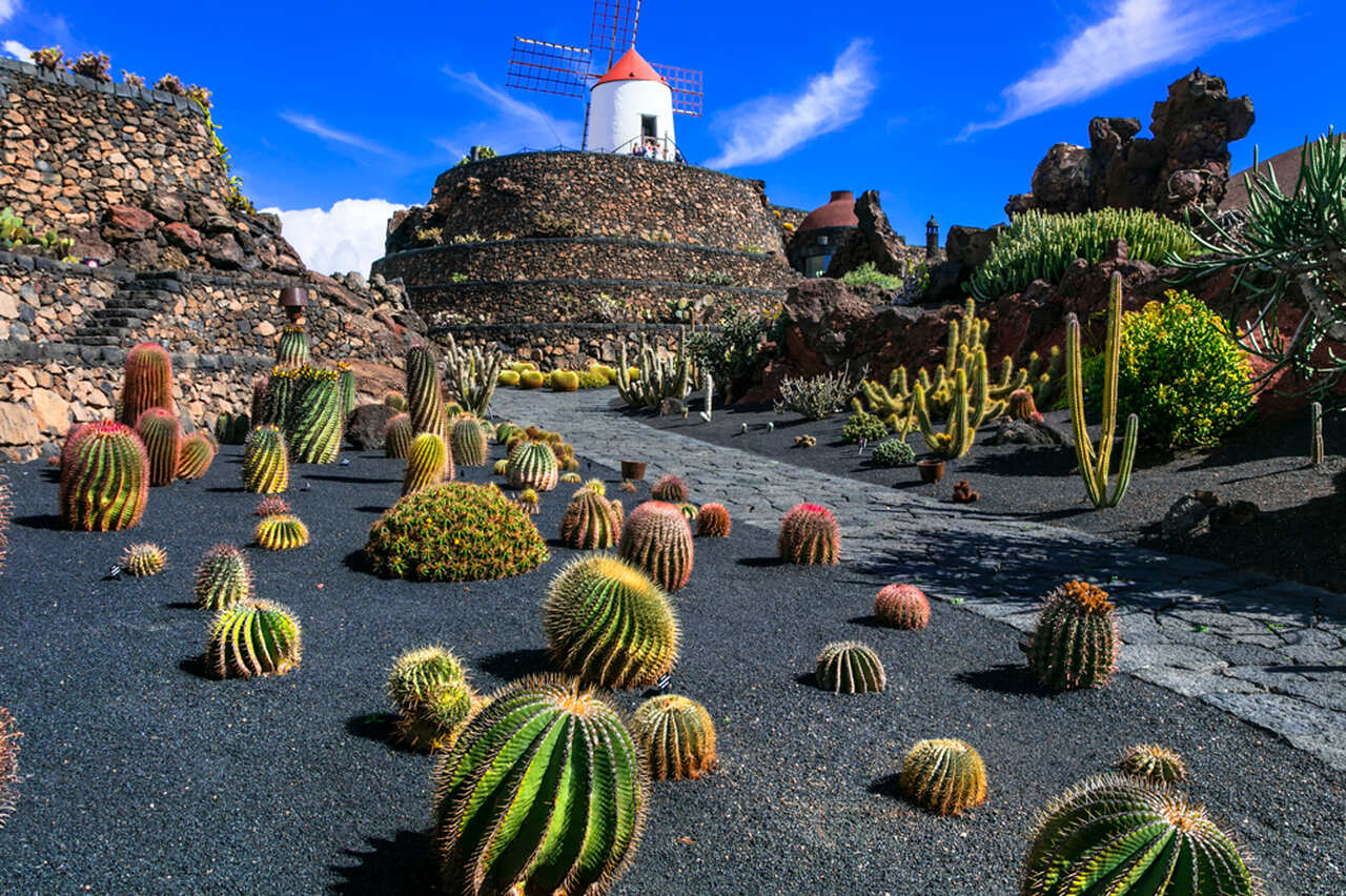 Ogród kaktusów, Lanzarote