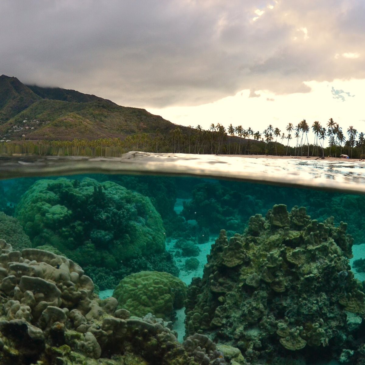 Moorea, Polinezja Francuska