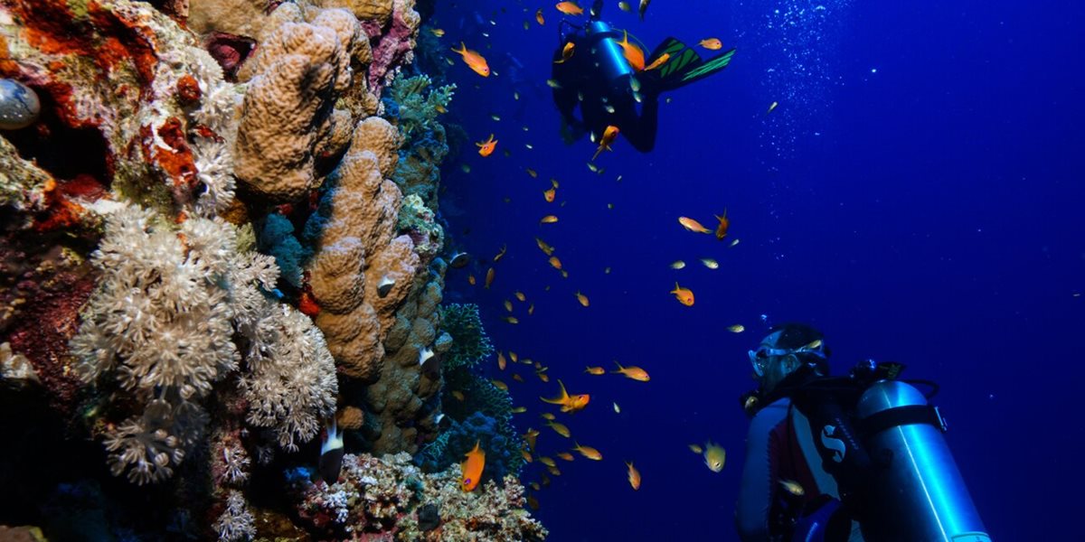 Nurkowanie w Egipcie &ndash; top 3 miejsca z najpiękniejszym podwodnym krajobrazem