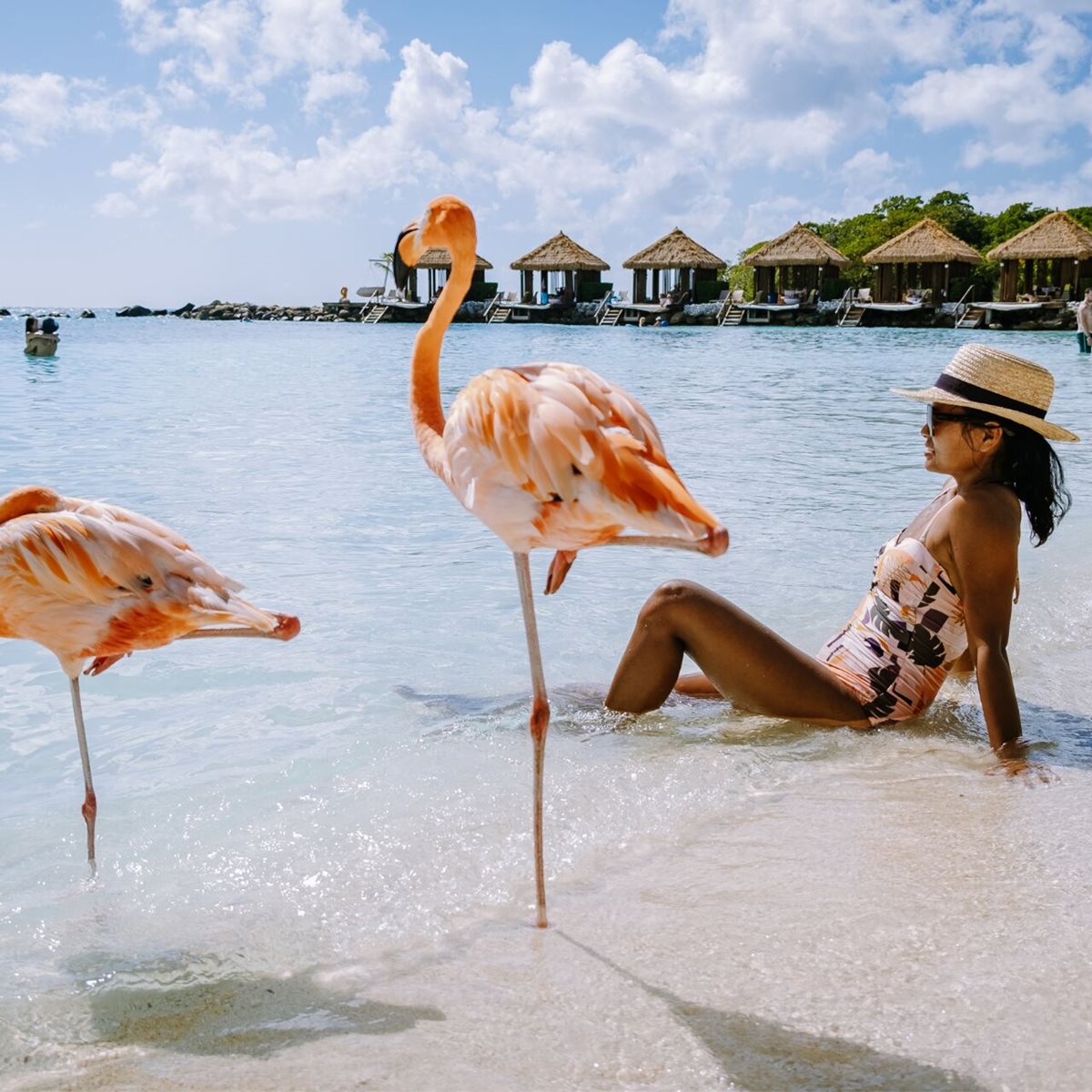 Flamingi na plaży na Arubie