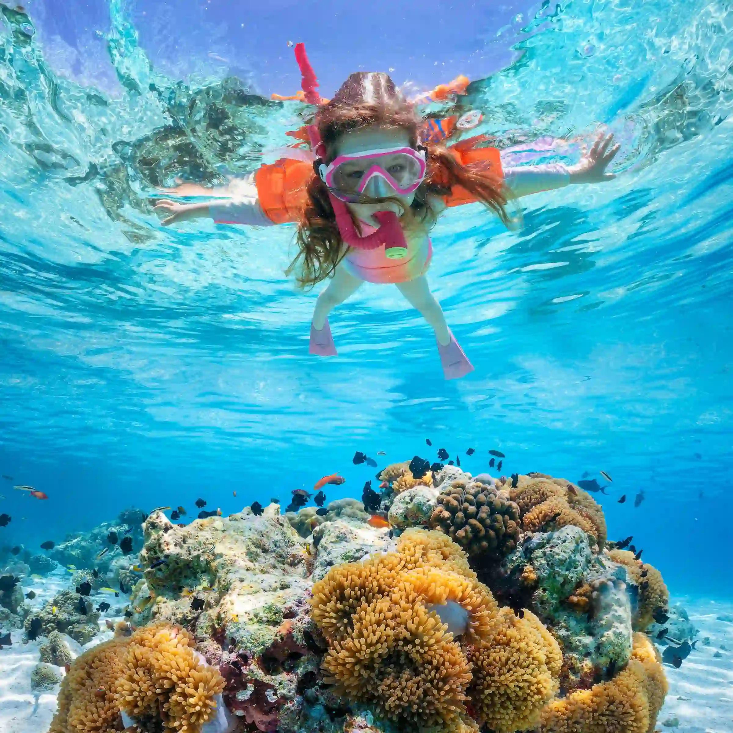 Snorkeling na Malediwach 