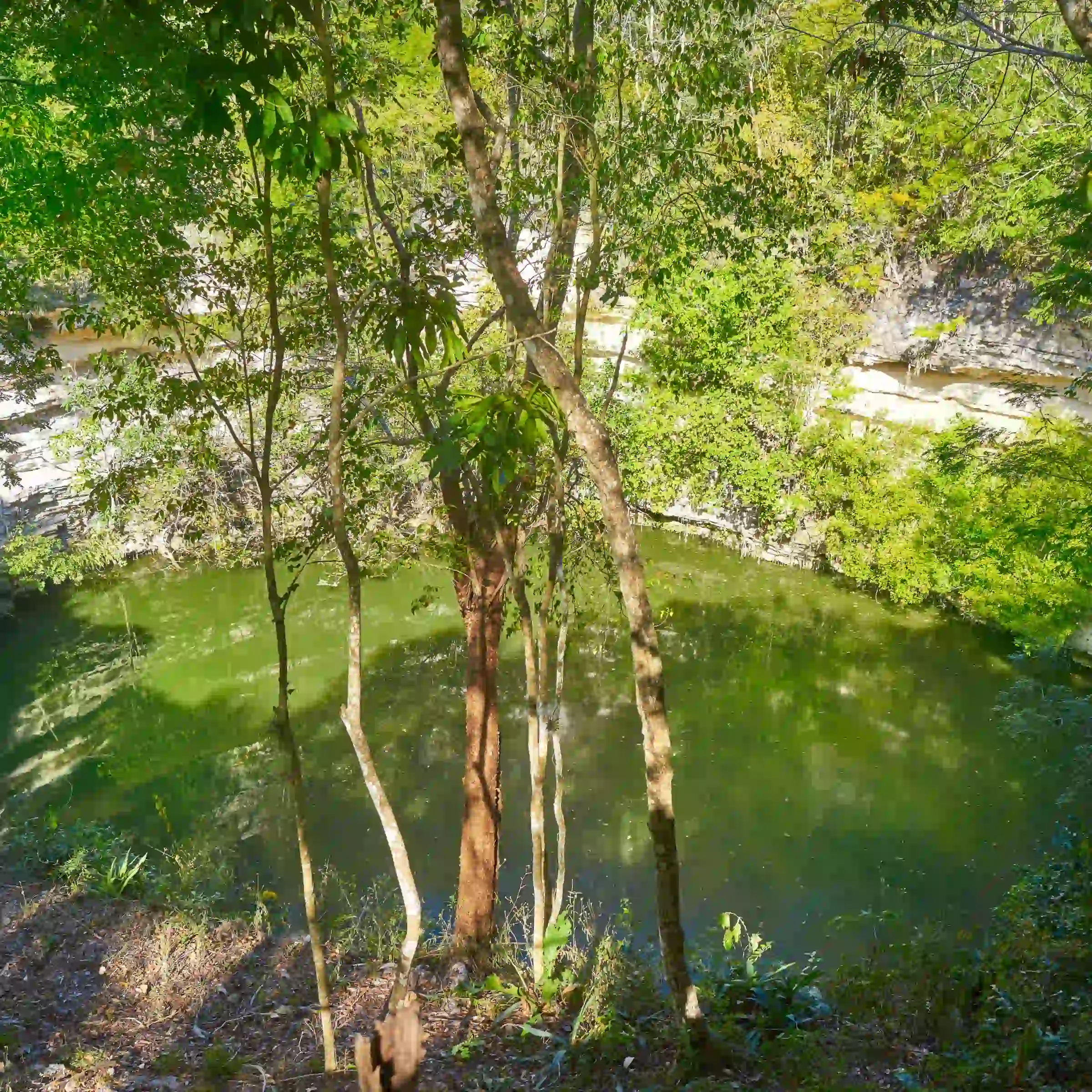 Cenote Sagrado