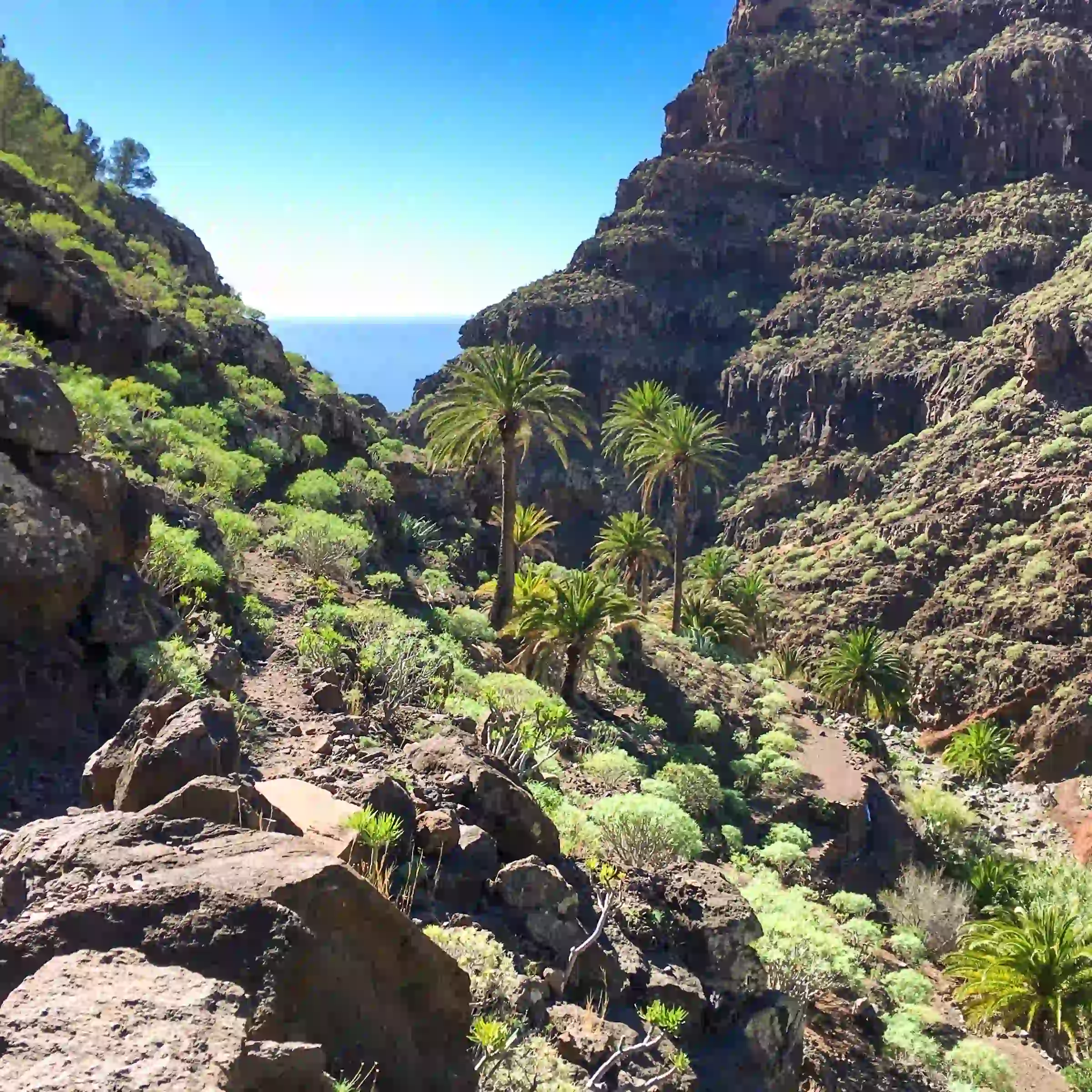 Kanion Barranco de Argaga