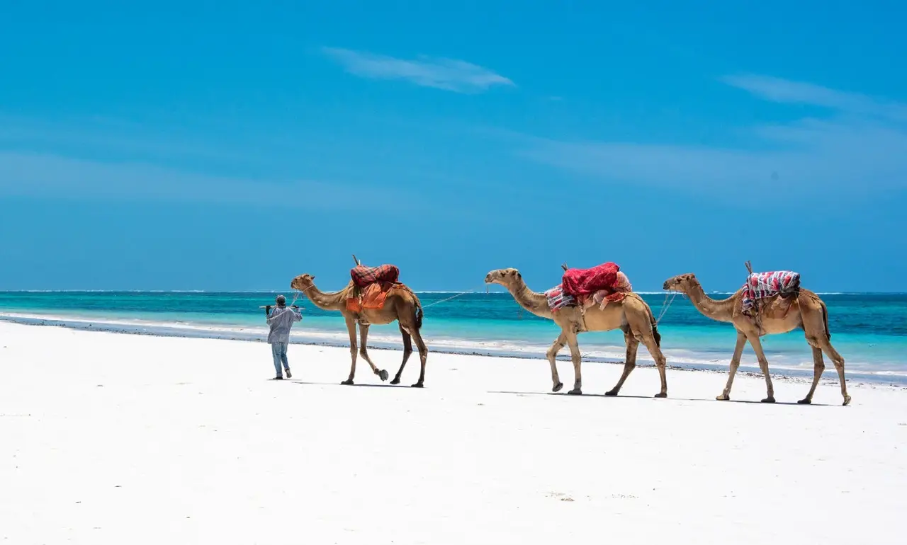 Diani Beach w Mombasie Diani Beach w Mombasie