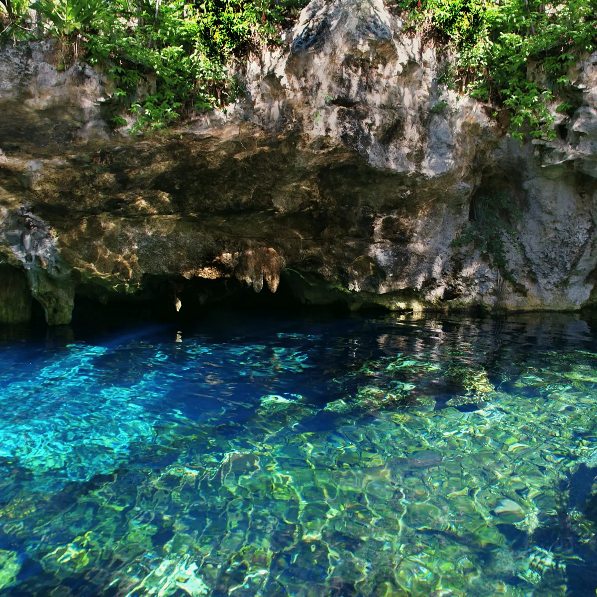 Gran Cenote