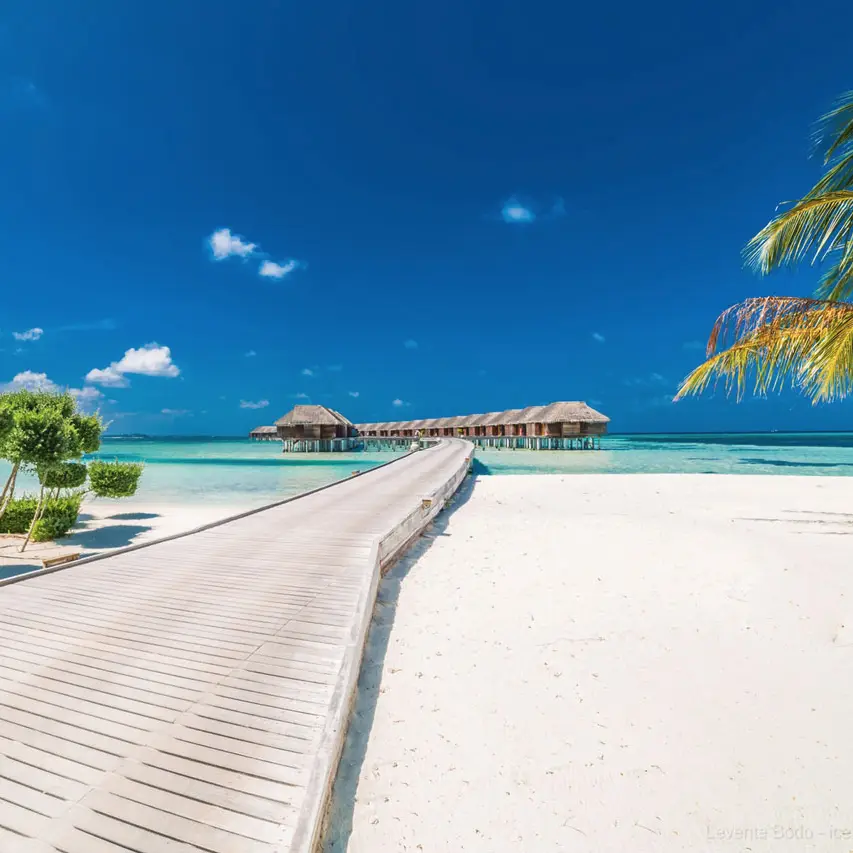 Plaża przy LUX South Ari Atoll, Malediwy