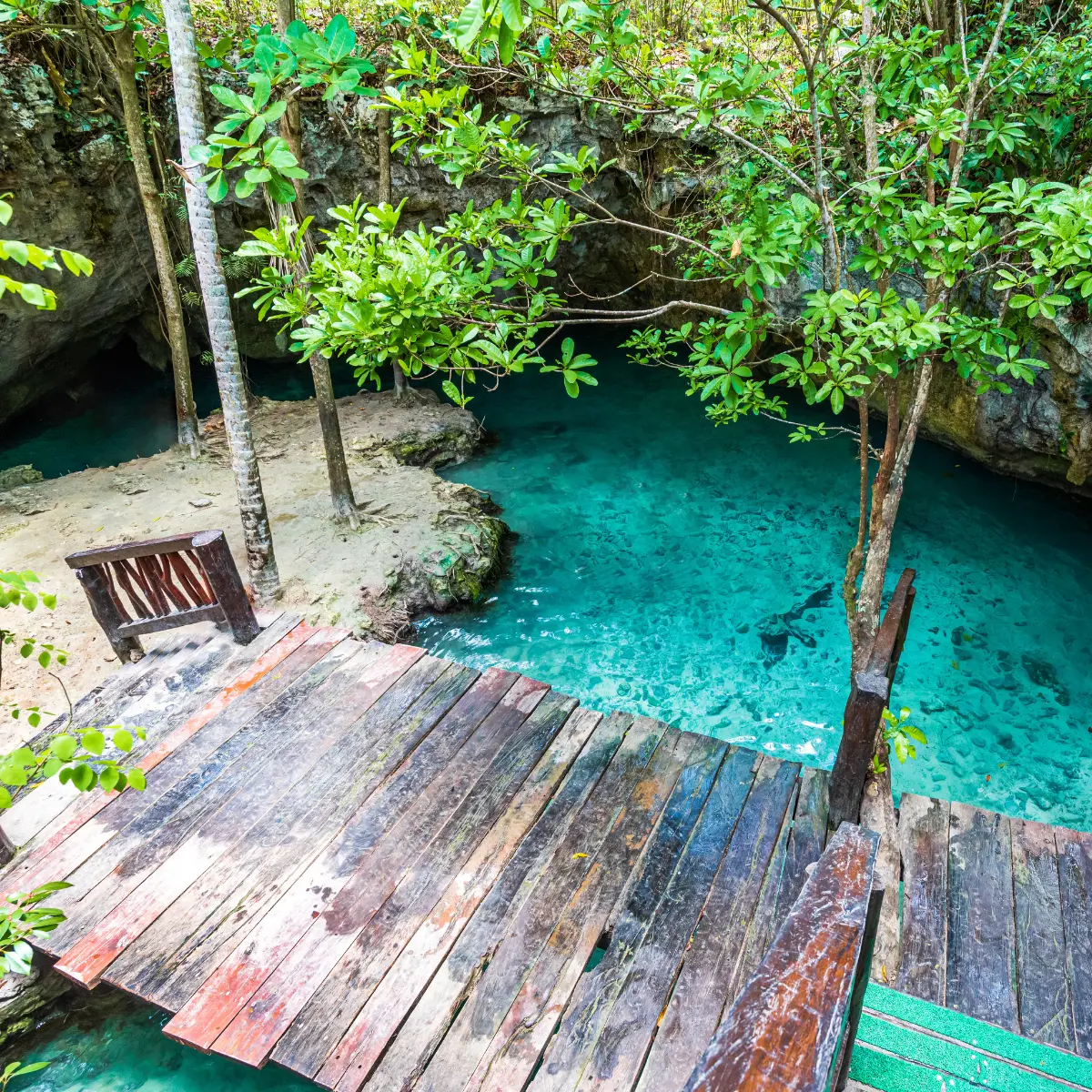 Cenota w Tulum