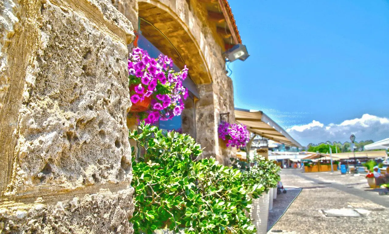 Pafos