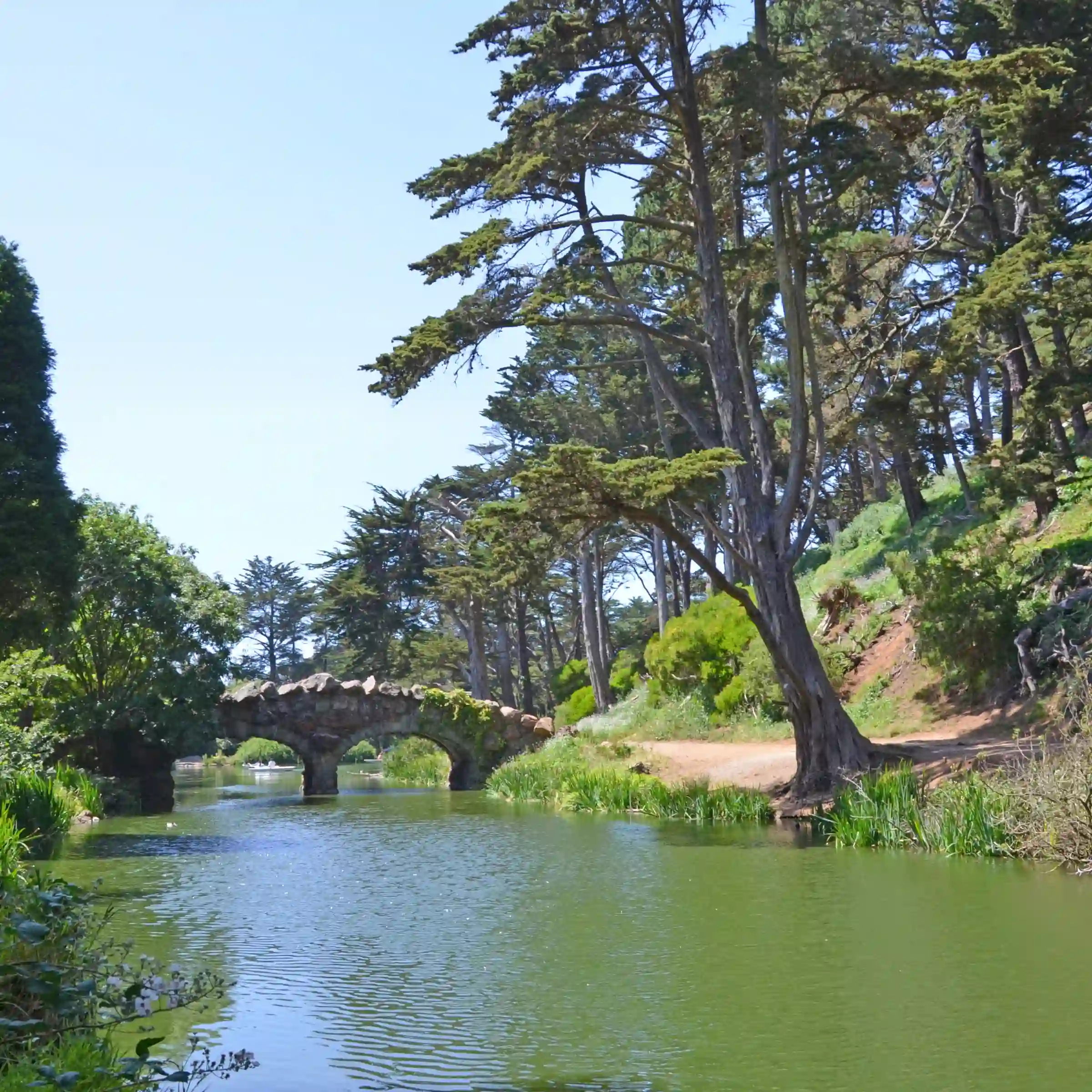 Rzeka i most w Golden Gate Park
