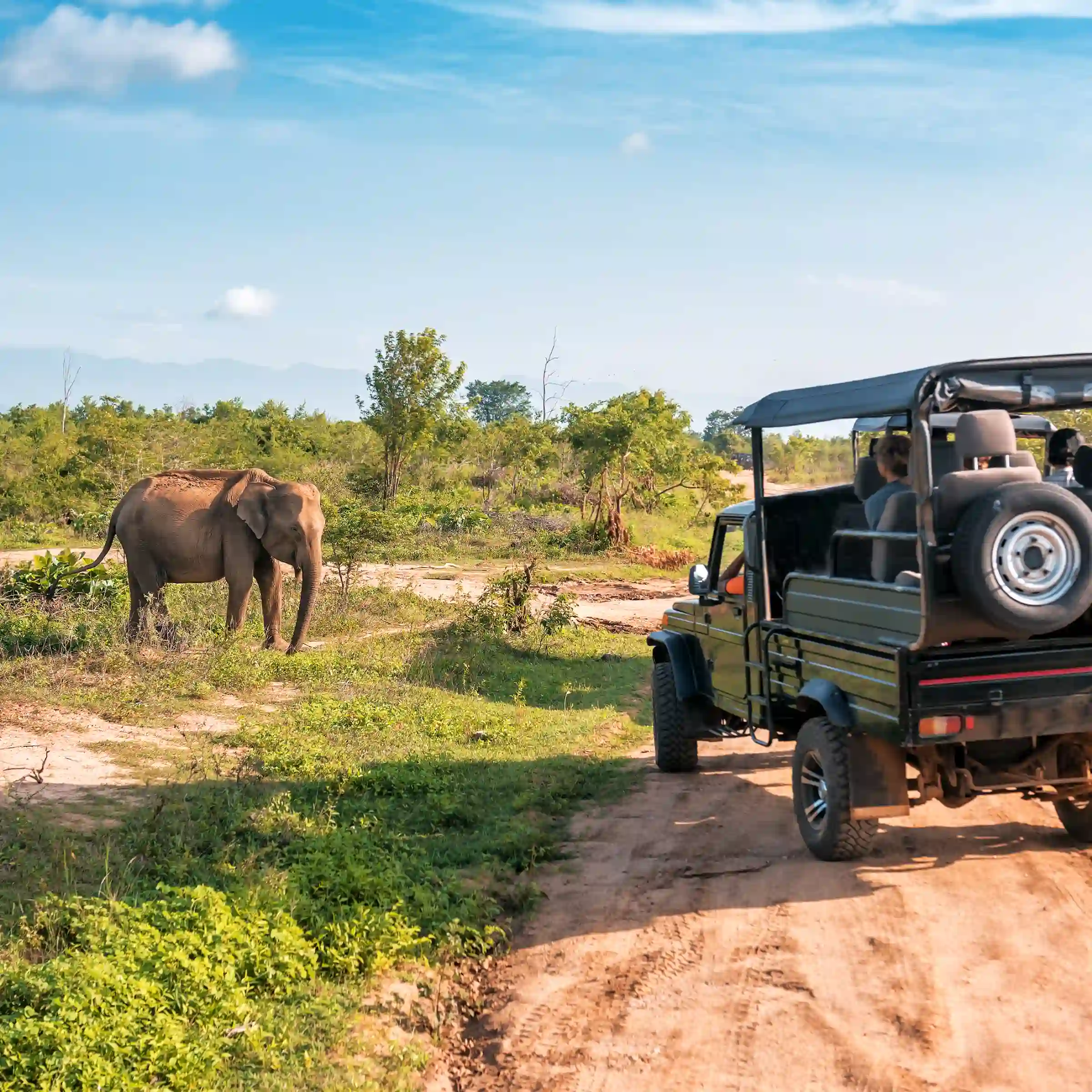Jeep safari w Parku Narodowym Udawalawe