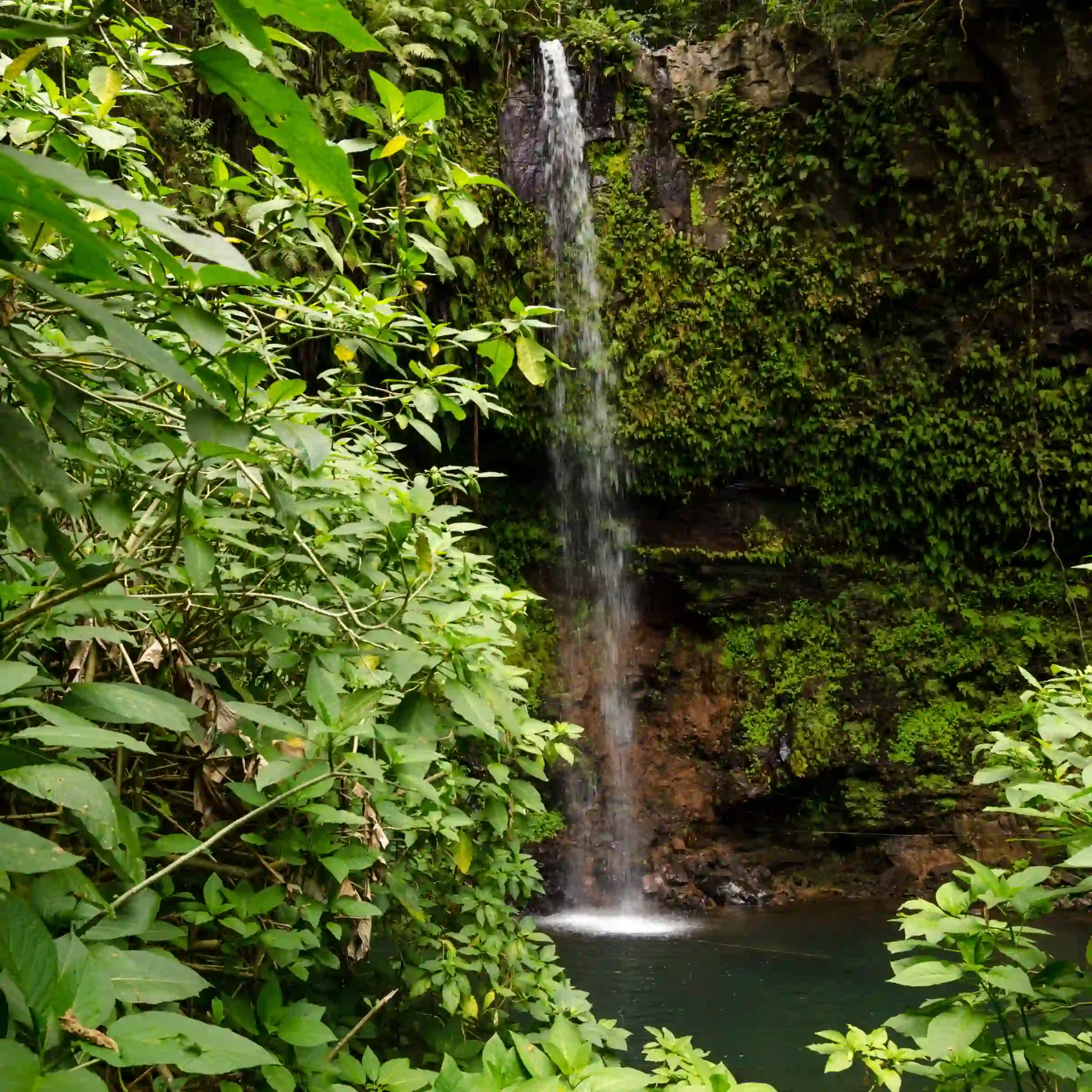 Wodospad w Parku Narodowym Amber Mountain 
