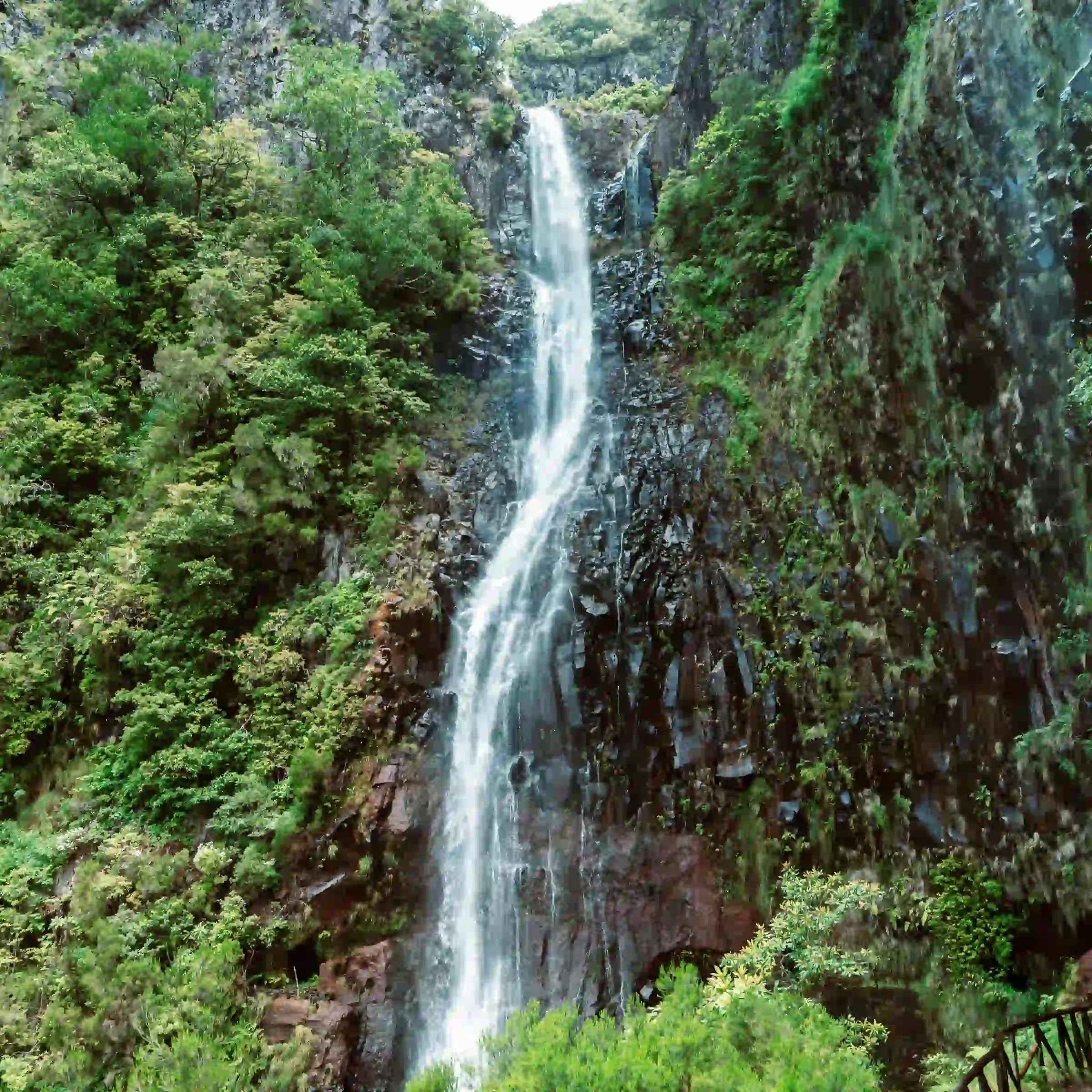 Wodospad Risco, Madera