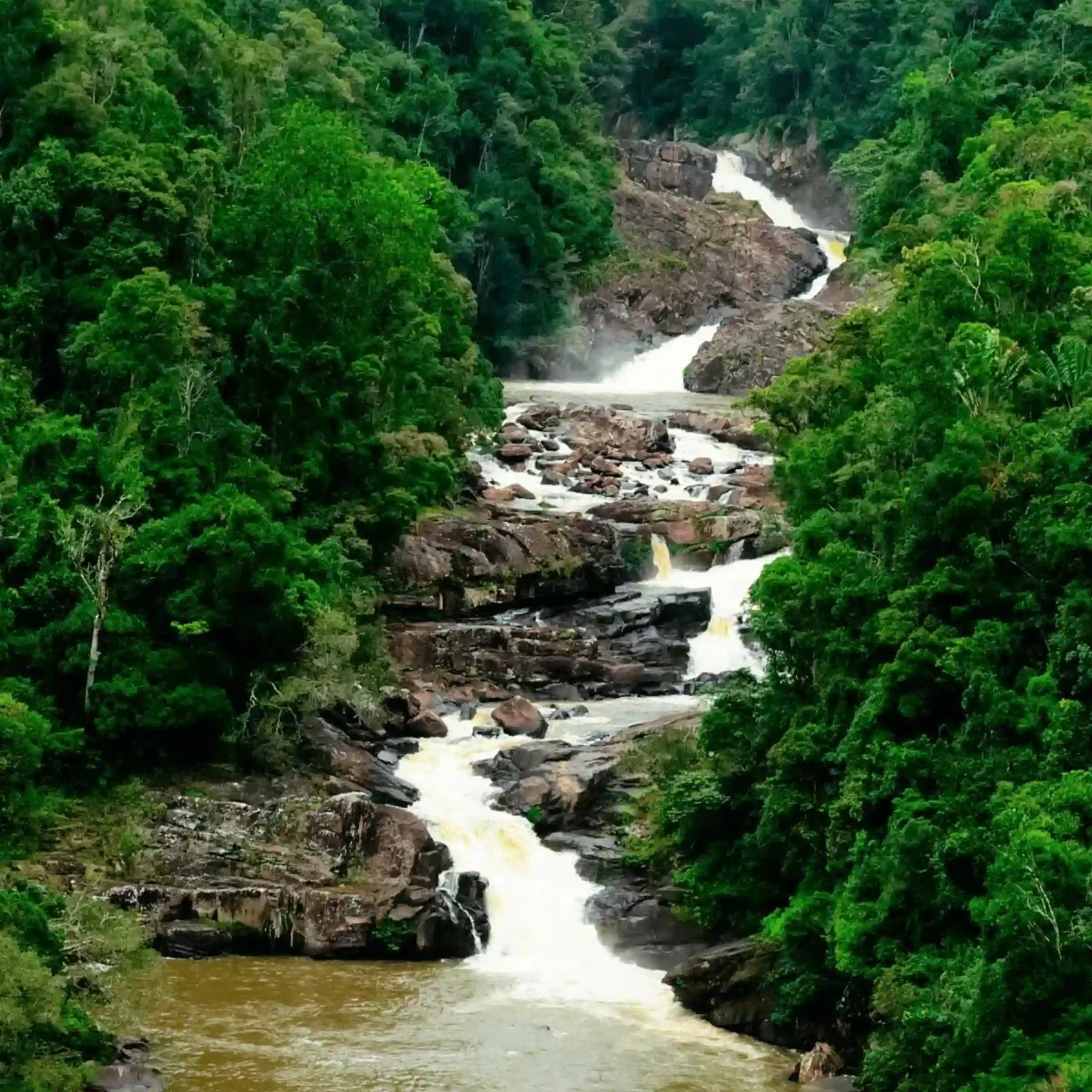 Las deszczowy, Madagaskar