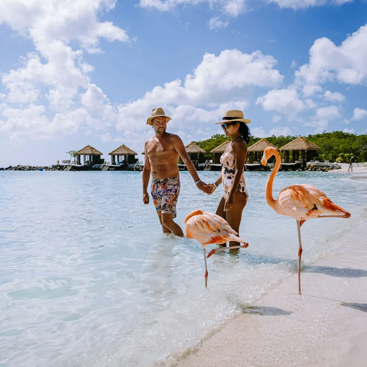 Plaża z flamingami, Aruba
