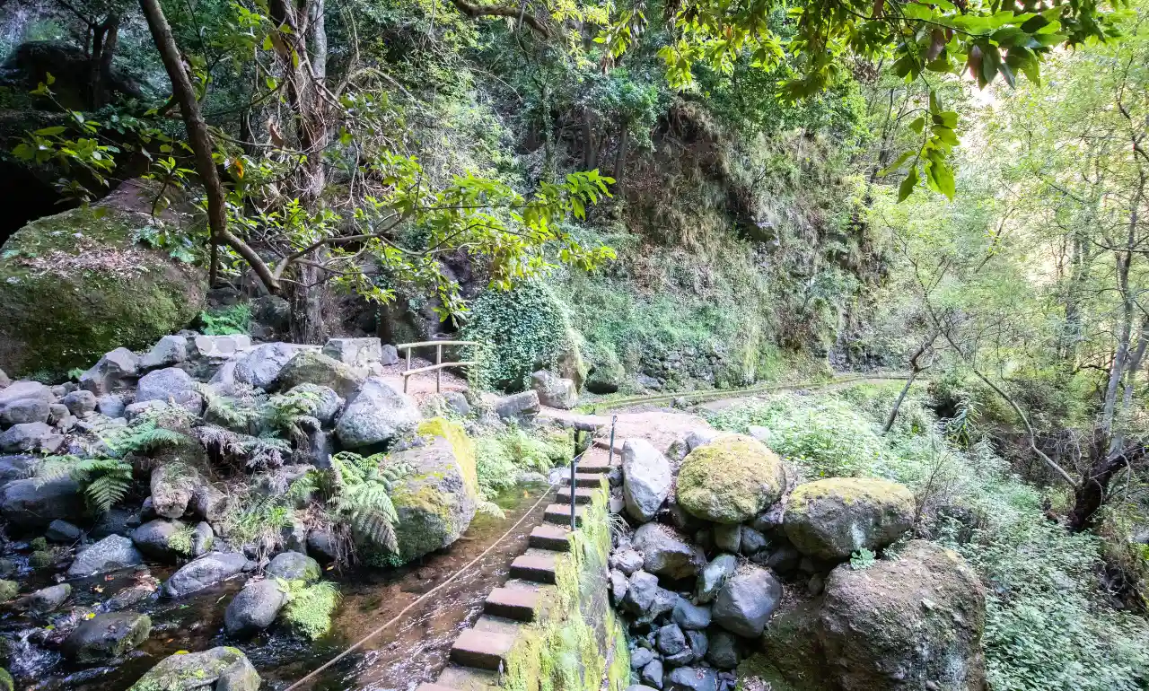 Levada Nova
