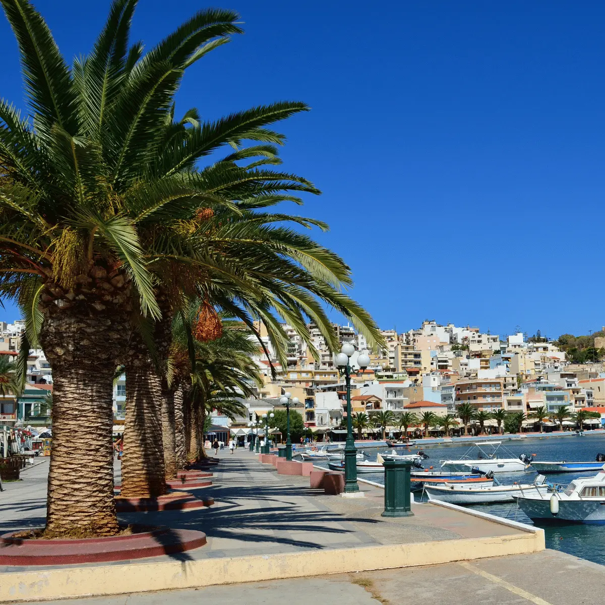 Sitia na Krecie