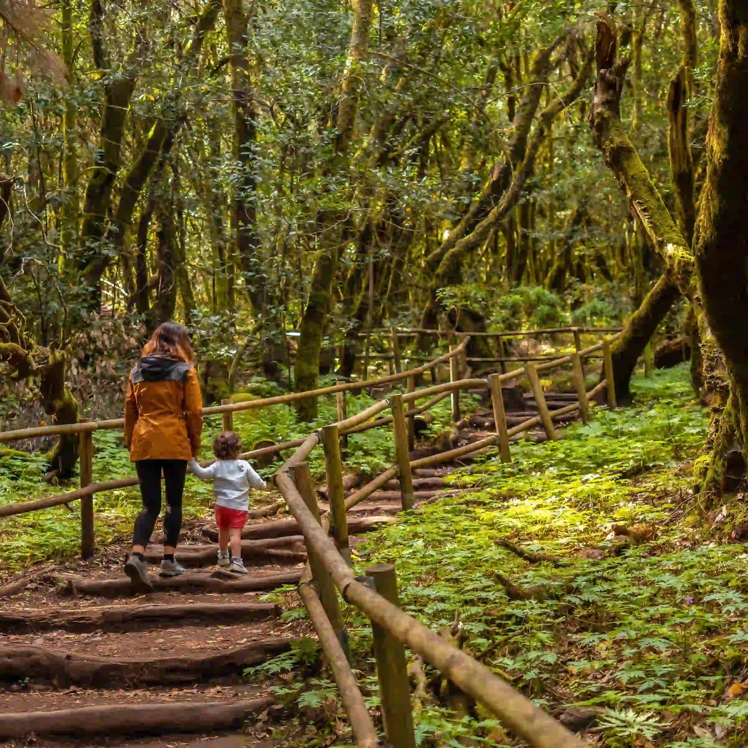Mama z dzieckiem w Parku Narodowym Garajonay