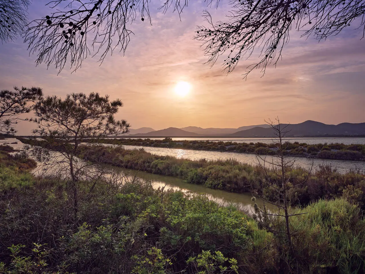 Parc Natural de Ses Salines Parc Natural de Ses Salines