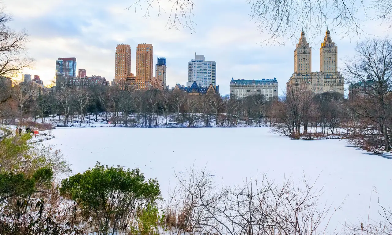 Zima w Central Parku