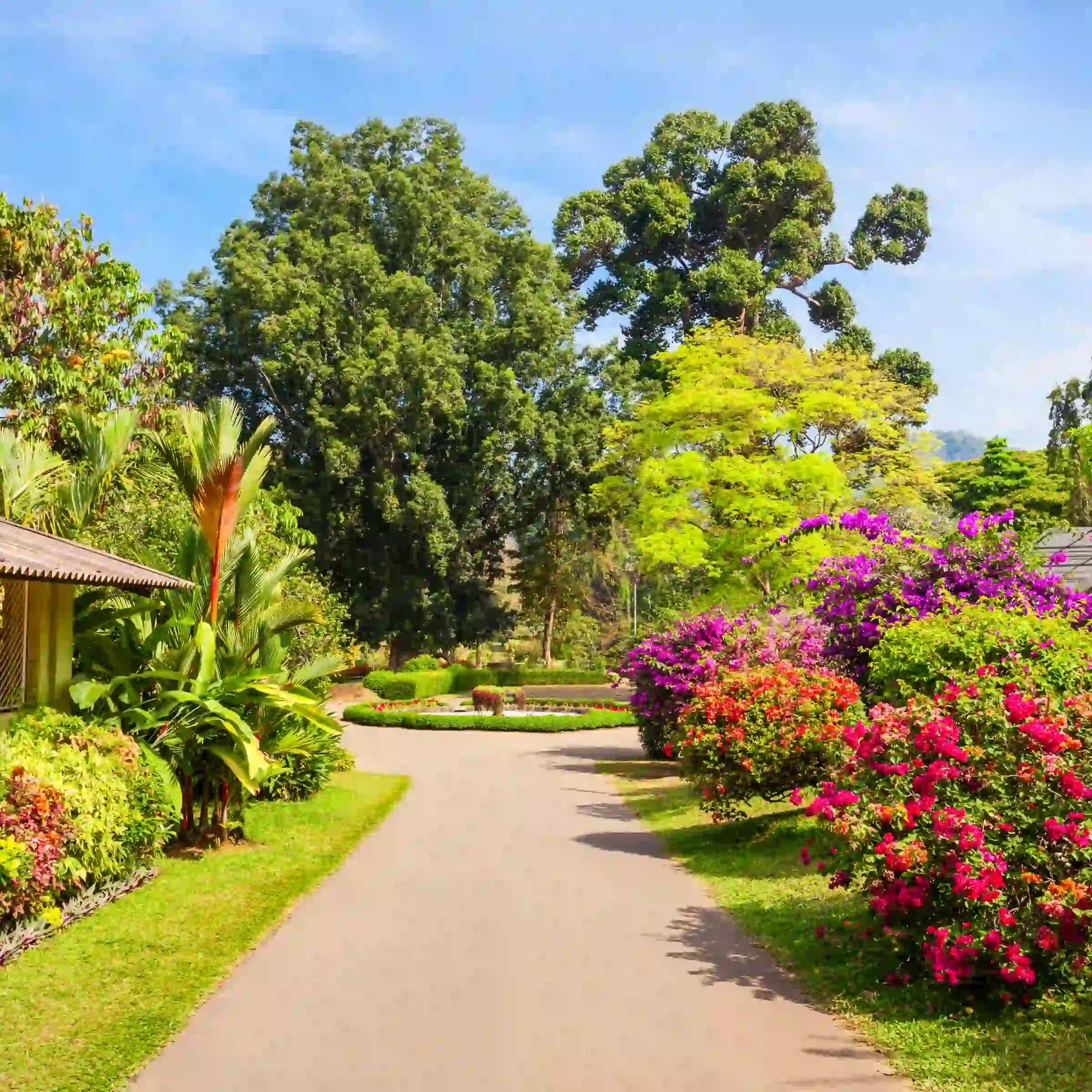 Królewski ogród botaniczny