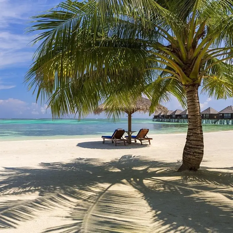 Plaża na wyspie Olhuveli, Malediwy