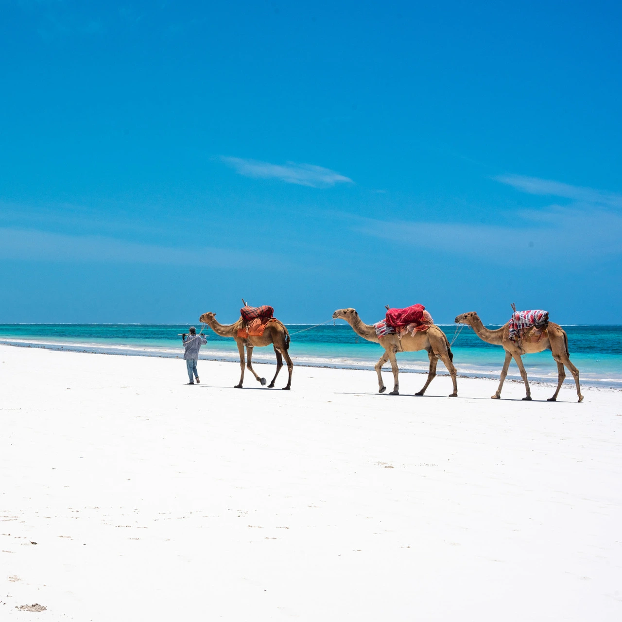 Diani Beach, Mombasa, Kenia Diani Beach, Mombasa, Kenia