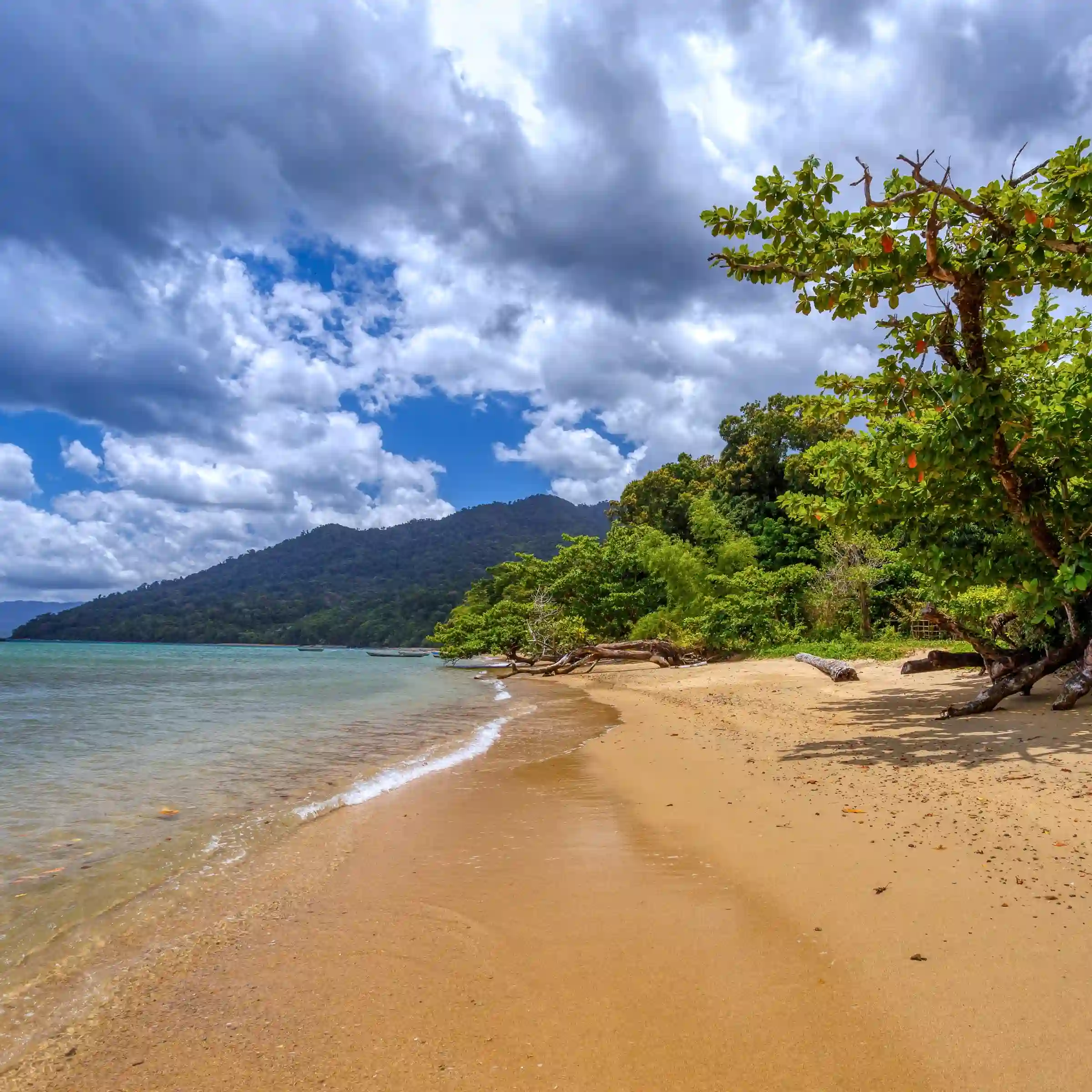Dzika plaża w Parku Narodowym Masoala