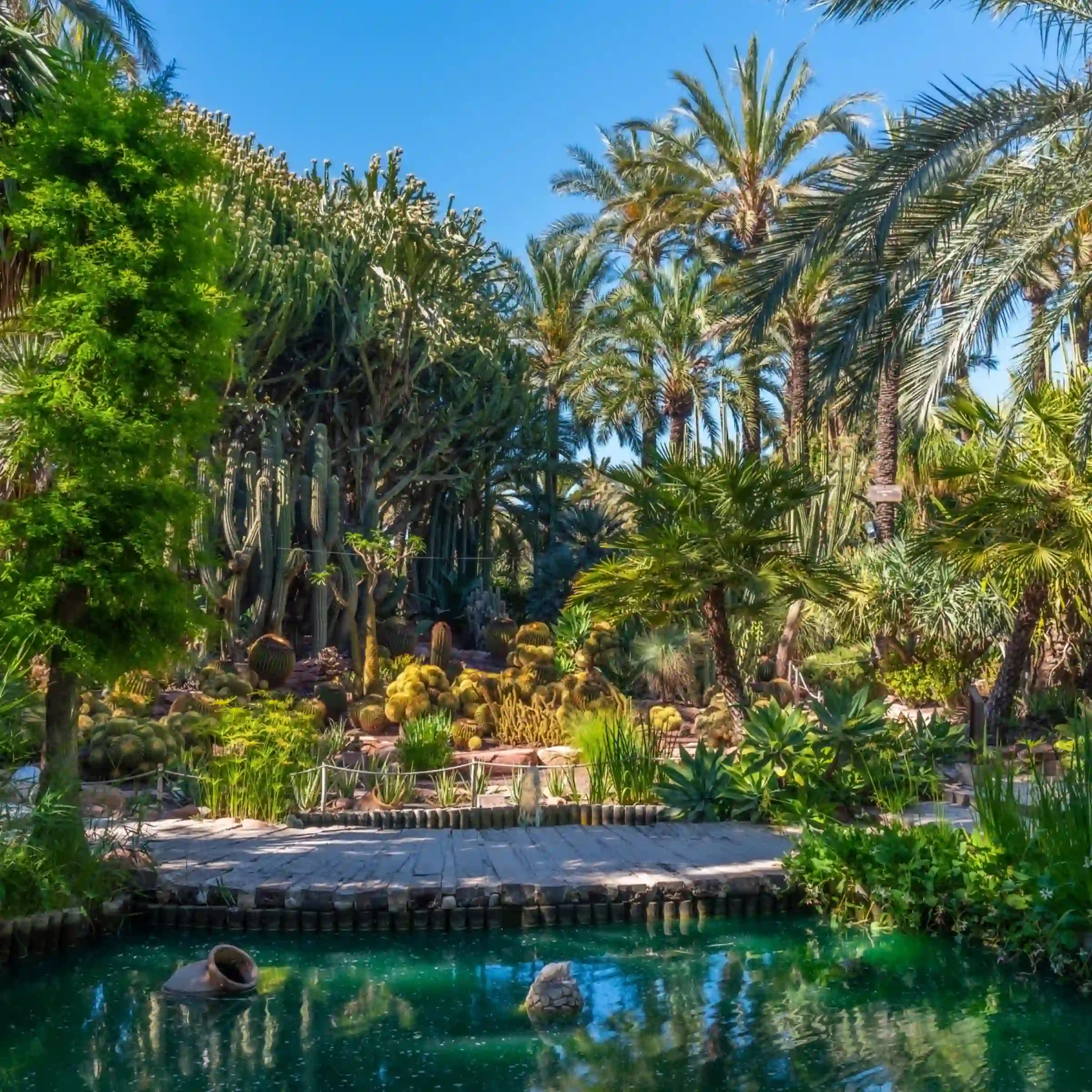 Ogród botaniczny Huerto del Cura