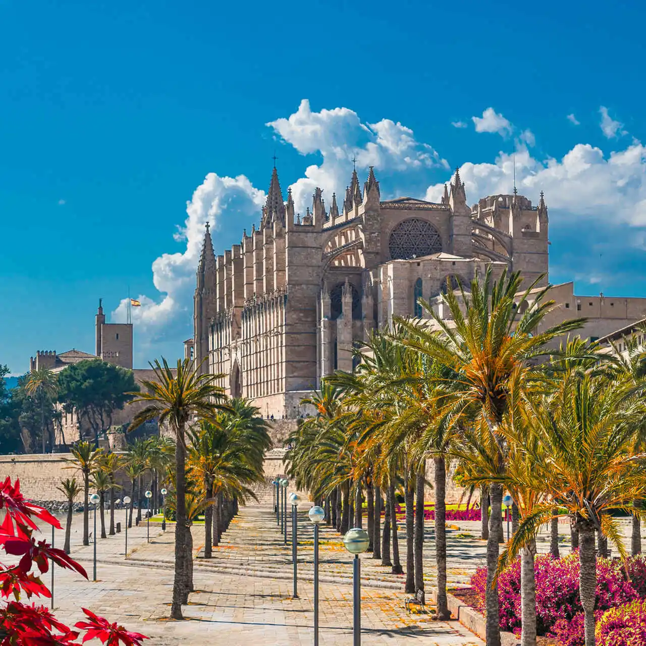 Katedra w Palma de Mallorca