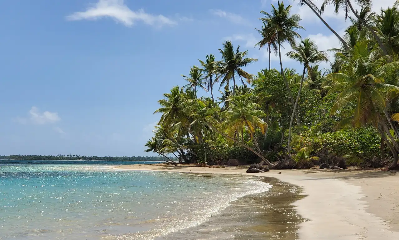 Zatoka Samana w Republice Dominikańskiej