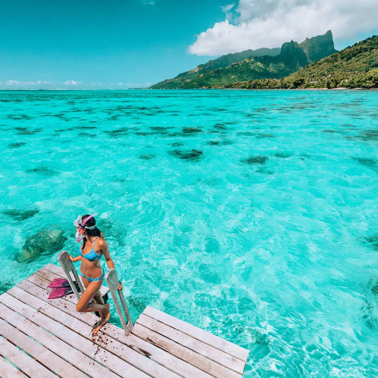 Nurkowanie na Tahiti Nurkowanie na Tahiti