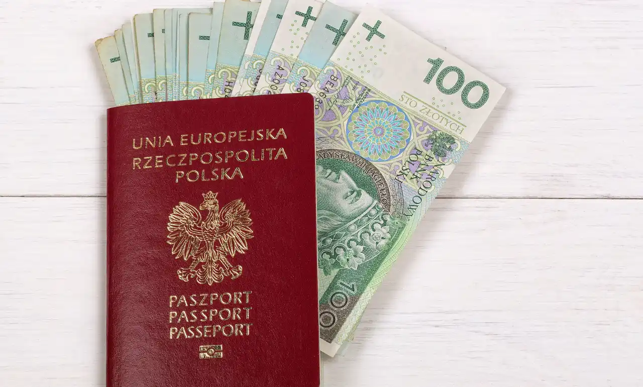 Paszport i gotówka Paszport i gotówka