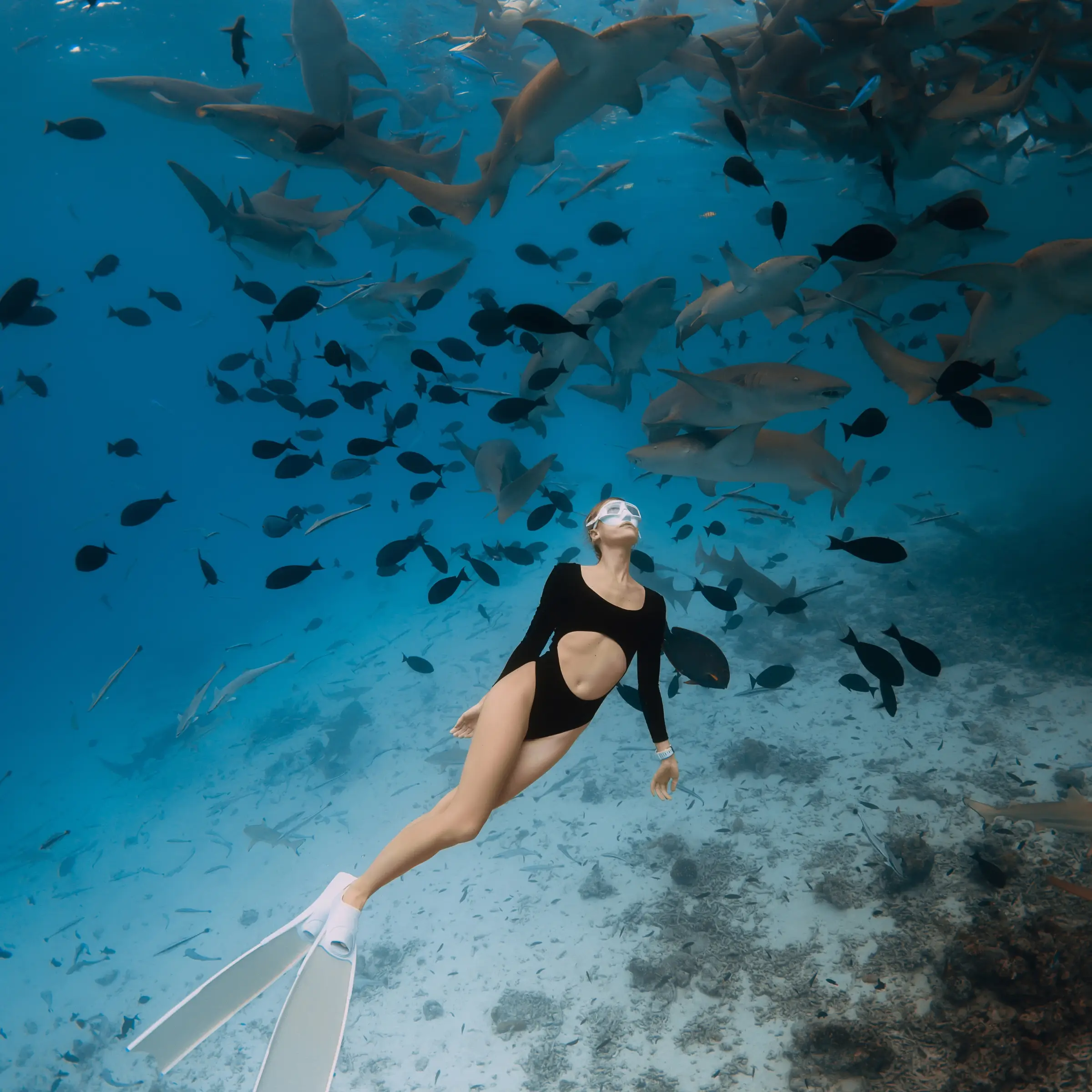 Snorkeling na Malediwach 