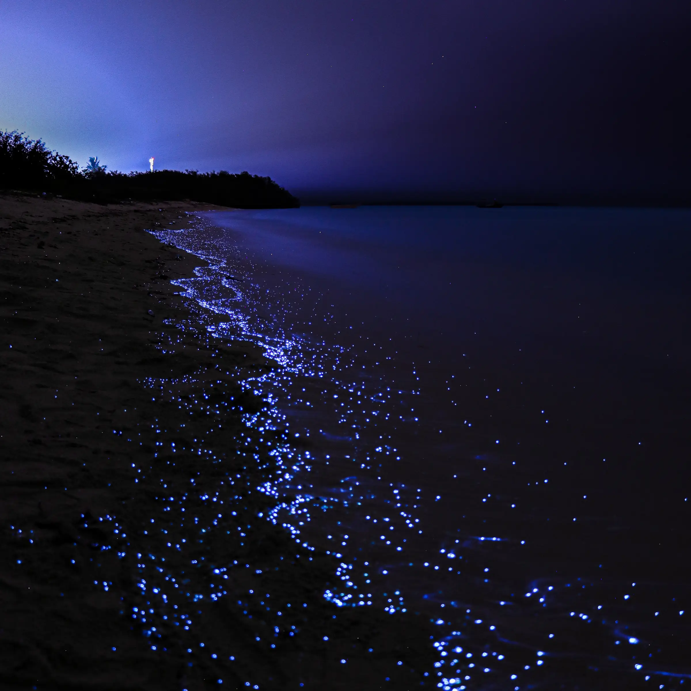 Świecąca plaża nocą, Malediwy