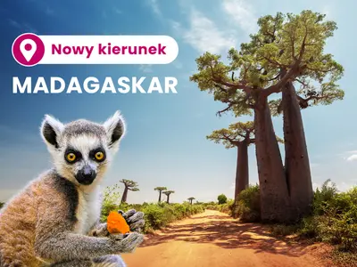 Madagaskar - nowy kierunek, krajobraz z lemurem
