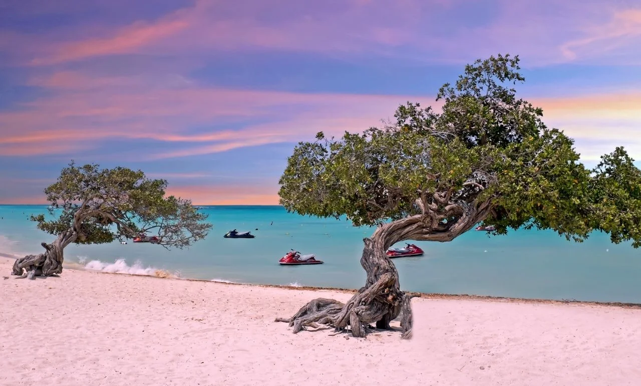 Eagle Beach, Aruba
