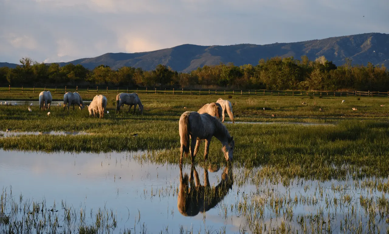 Park Aiguamolls de l’Empordà