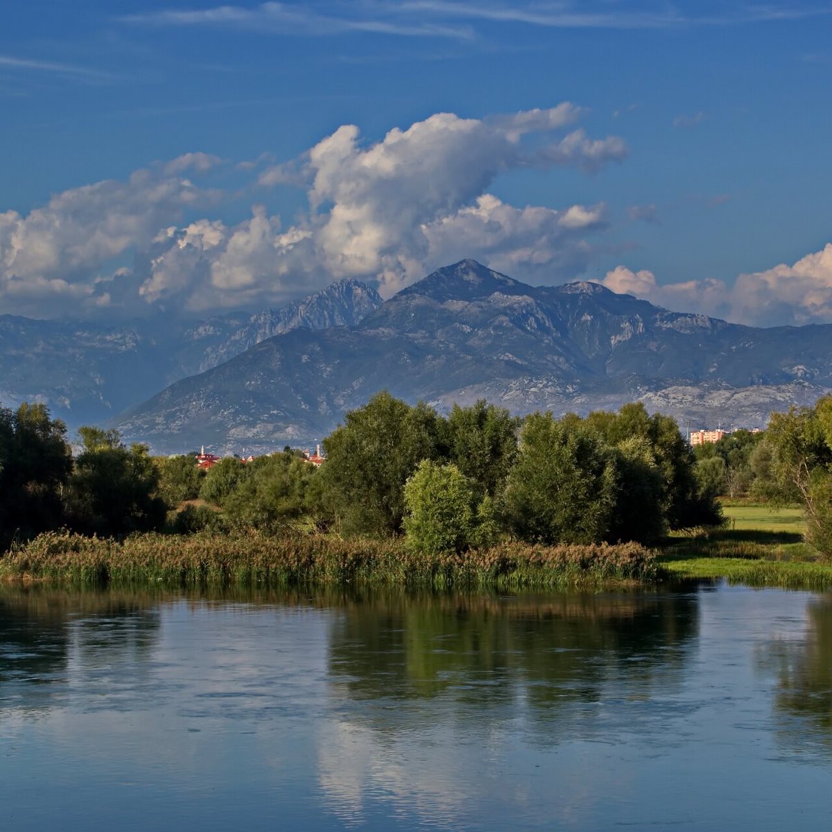 Jezioro Szkoderskie, Czarnogóra