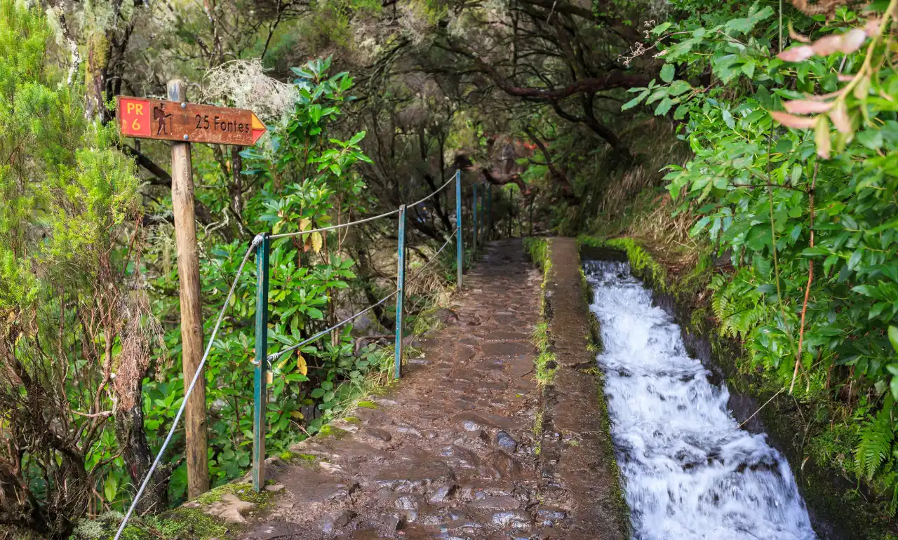 Levada das 25 Fontes