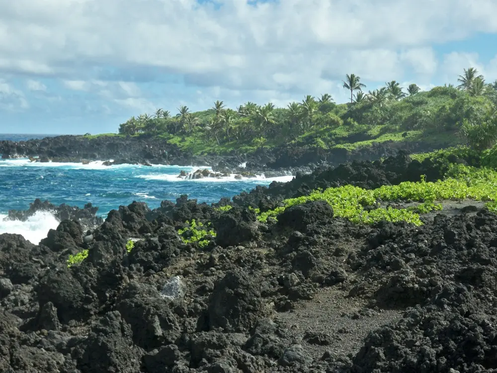 Punalu'u Beach, Hawaje