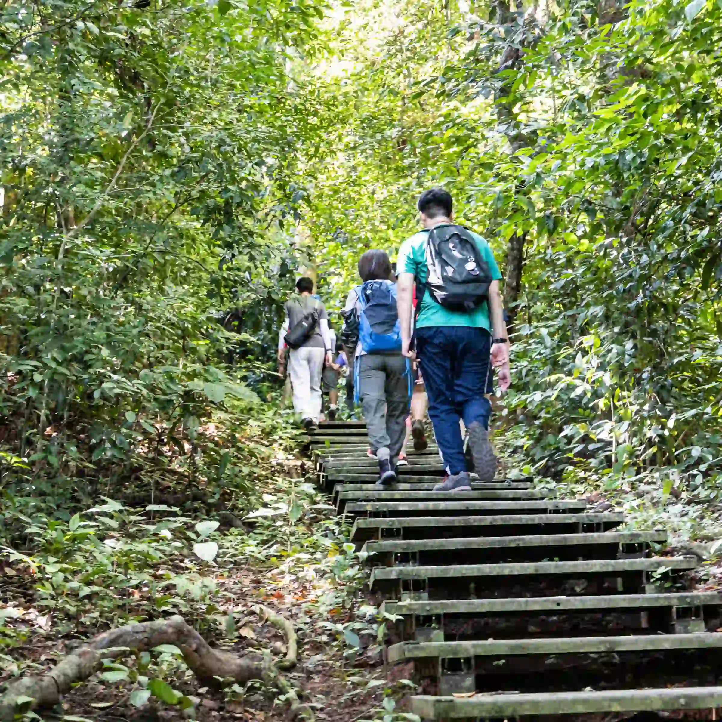 Turyści spacerujący drewnianą kładką w Parku Narodowym Taman Negara, Pahang, Malezja.
