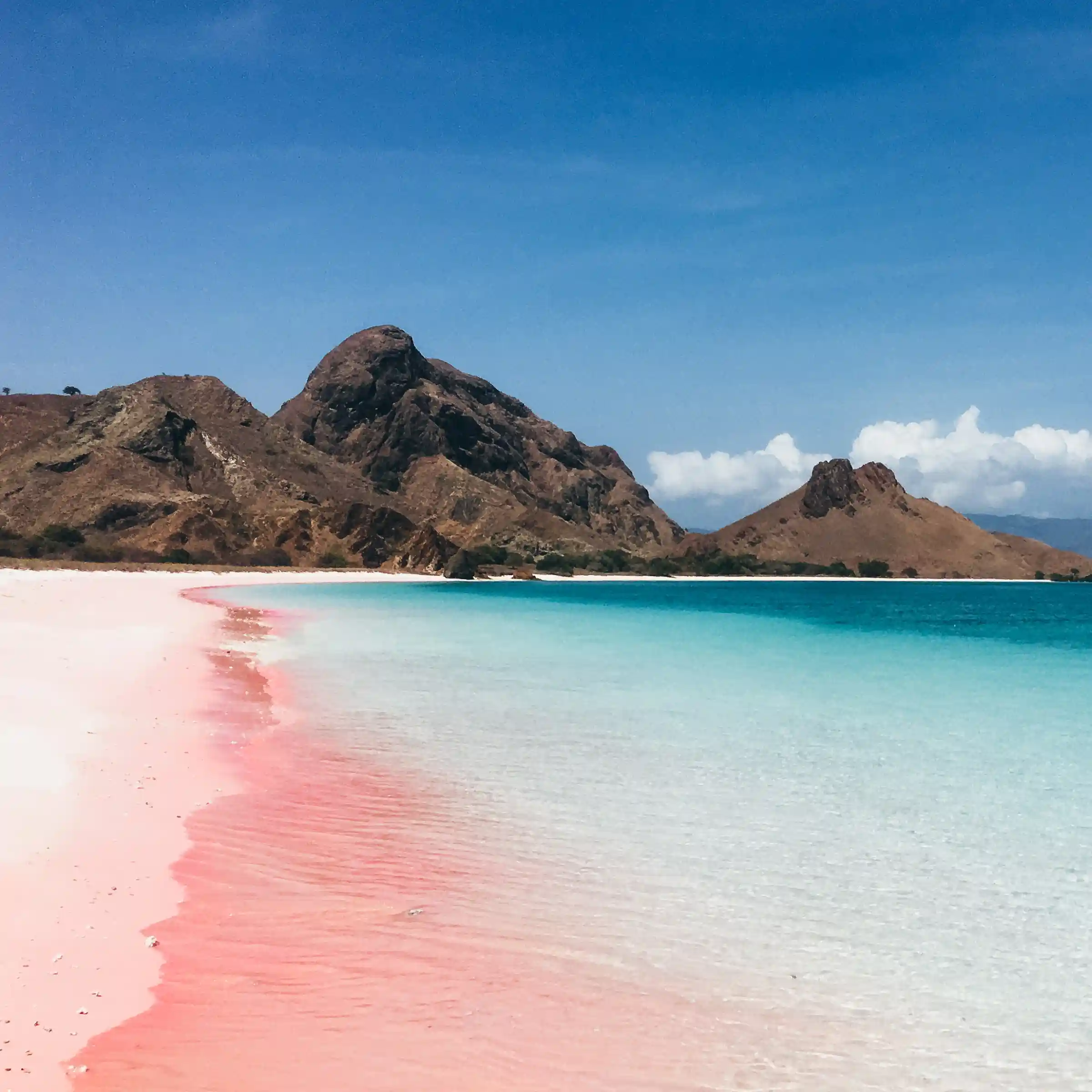 Pink Beach, Indonezja