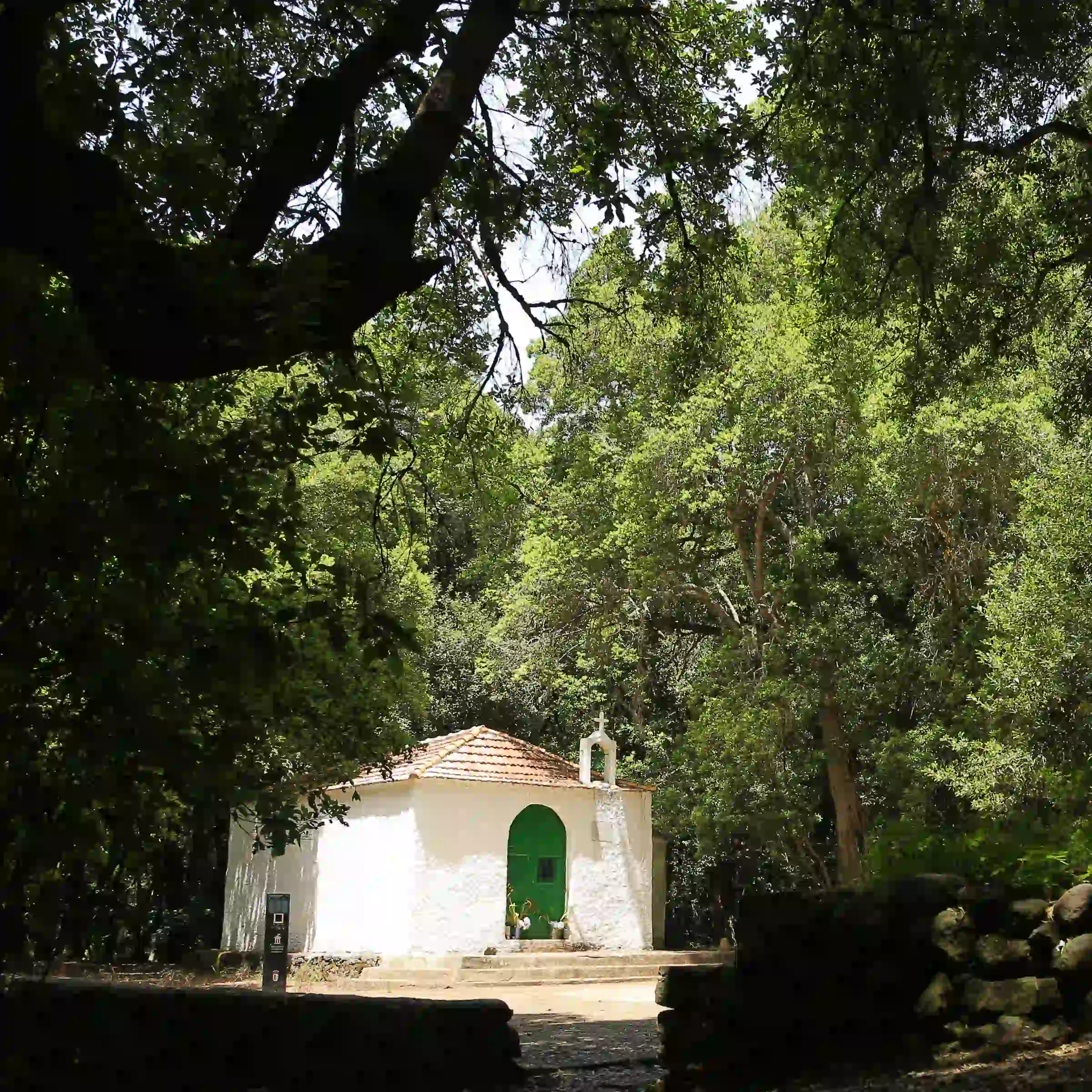 Park Narodowy Garajonay