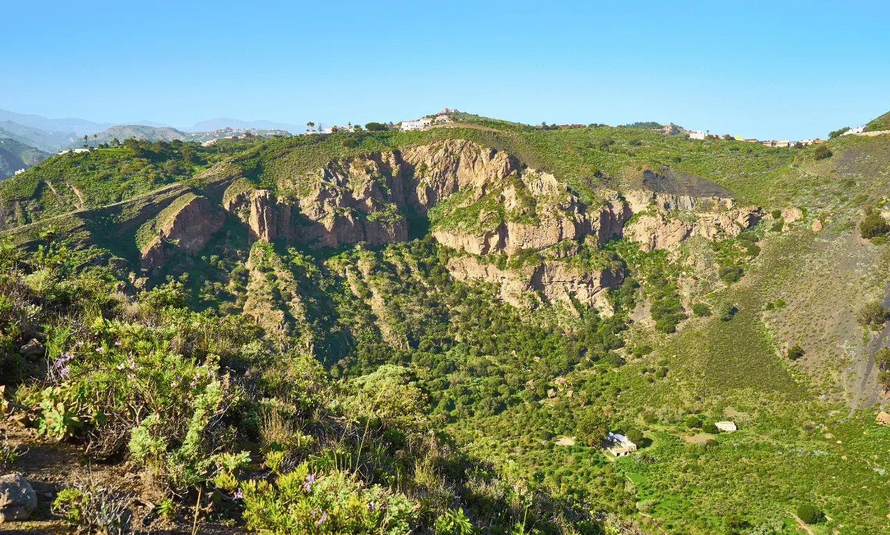 Midador del Pico de Bandama, Gran Canaria