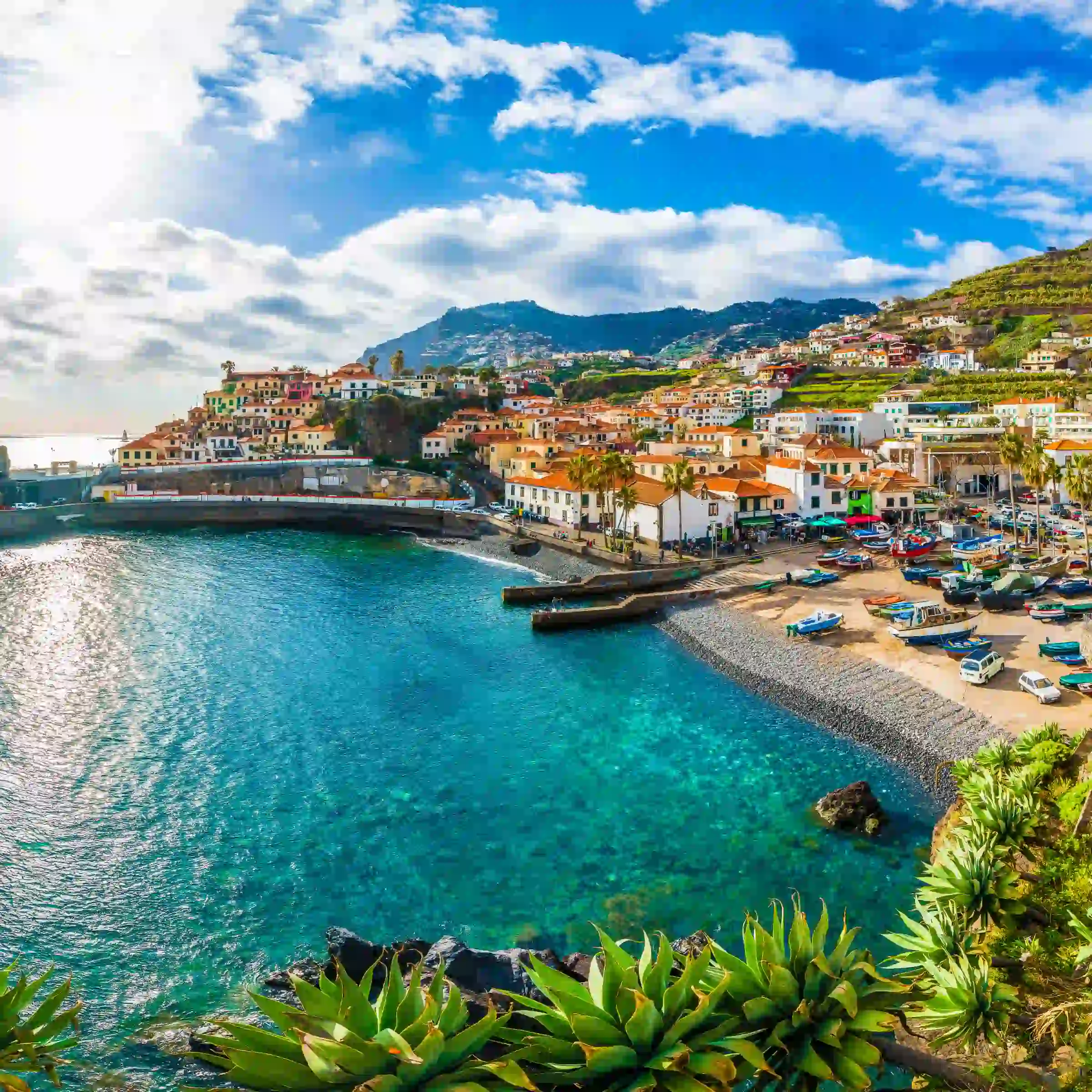Camara de Lobos, Madera