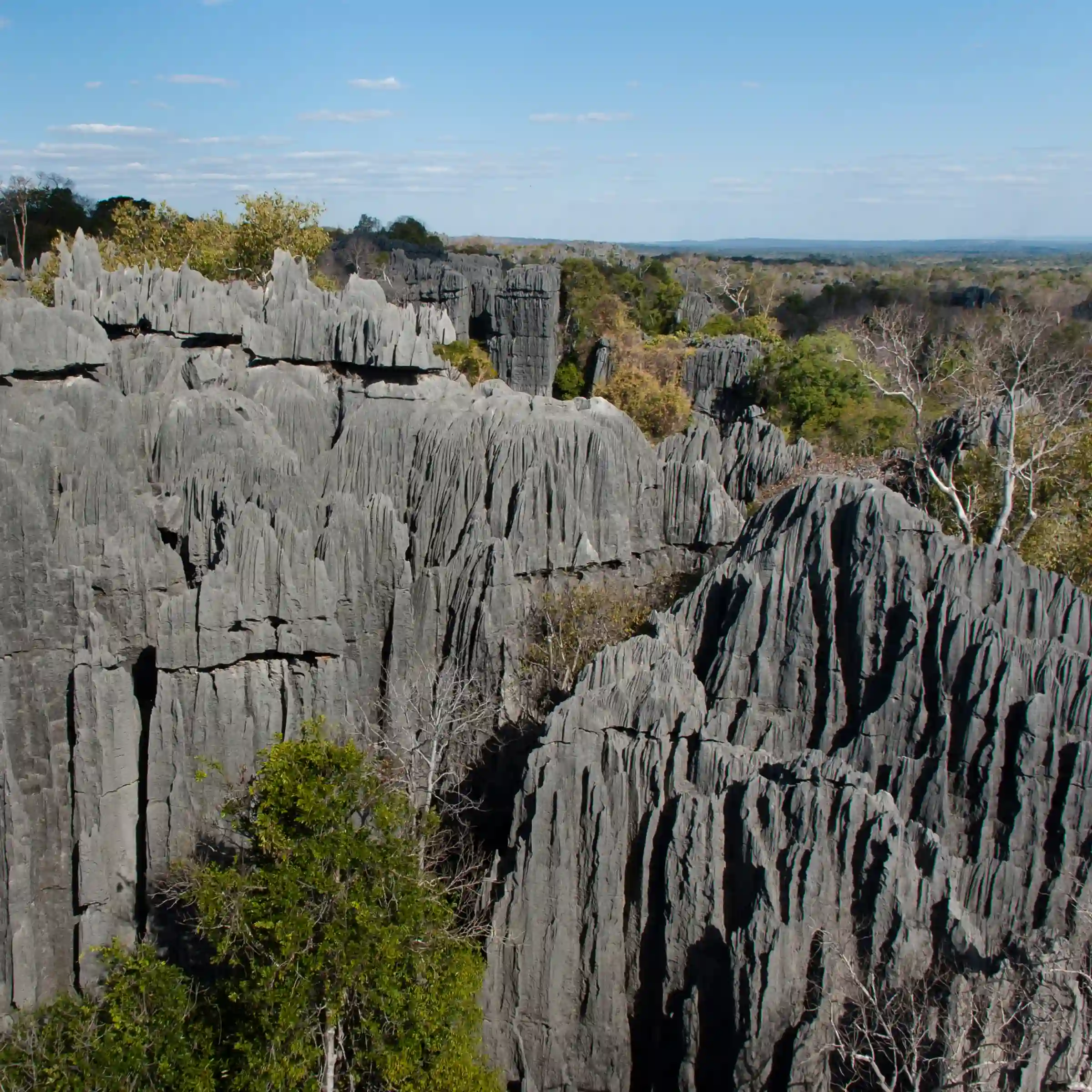 Park Narodowy Tsingy de Bemaraha