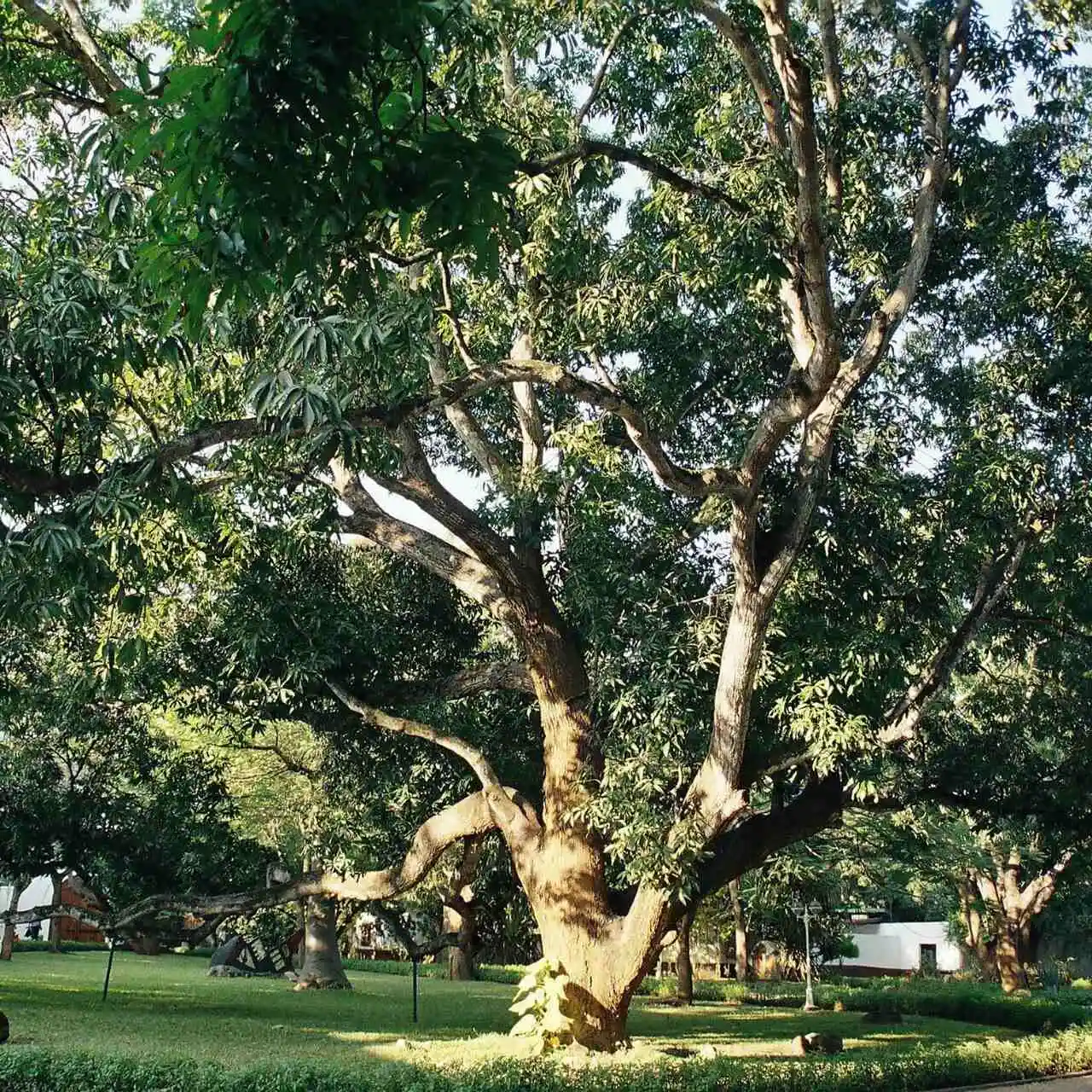 Malindi, Kenia Malindi, Kenia